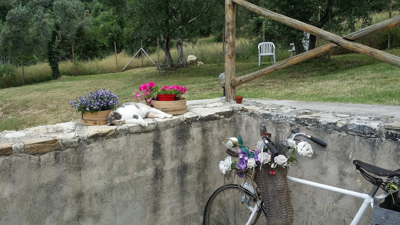 B&B Le Torri Di Firenze Fiesole Buitenkant foto