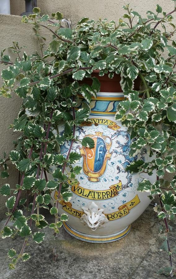 B&B Le Torri Di Firenze Fiesole Buitenkant foto